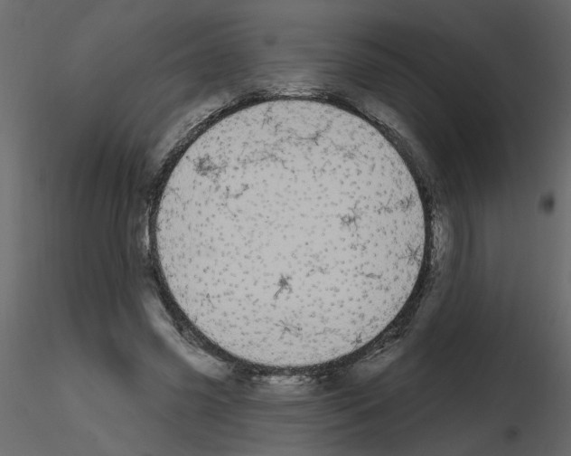 X0000115710541200912241546