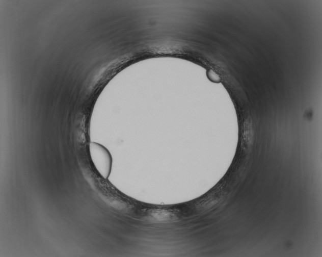 X0000115710547200912241546