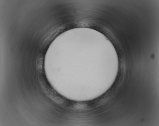 X0000115710549200912241546