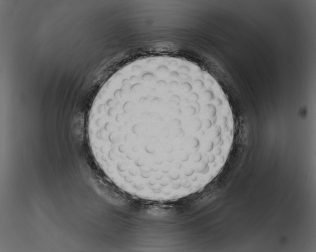 X0000115710550200912241546