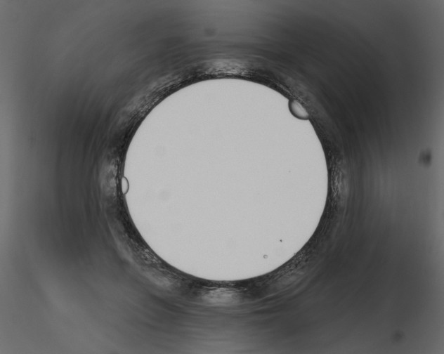 X0000115710551200912241546