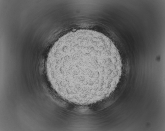 X0000115710554200912241546