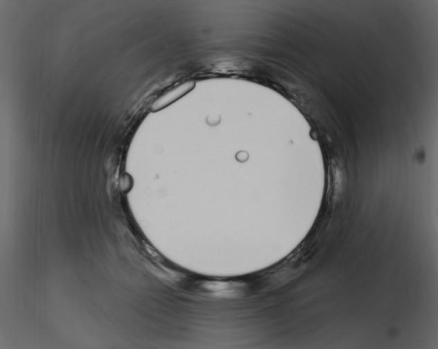 X0000115710558200912241546