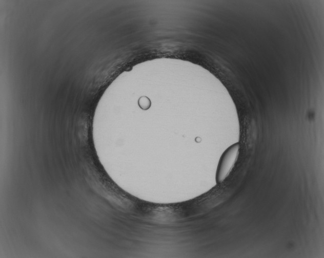 X0000115710562200912241546