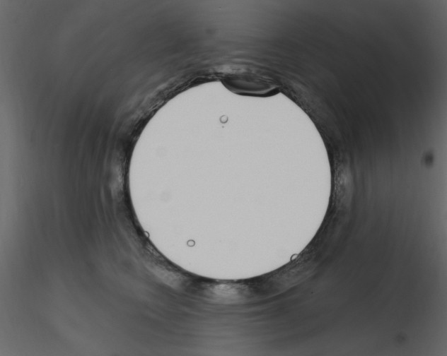 X0000115710566200912241546