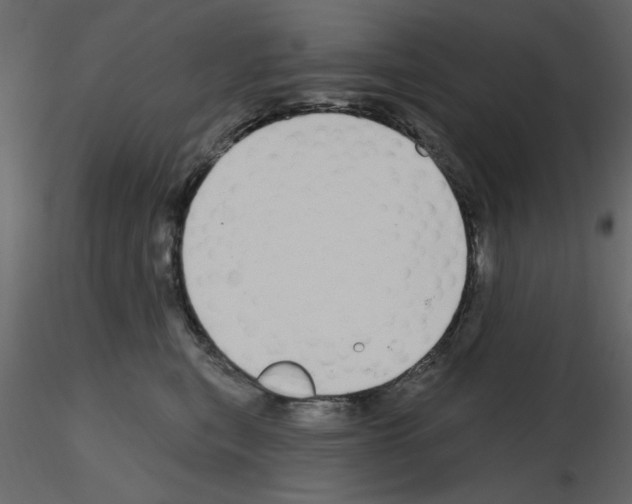 X0000115710567200912241546