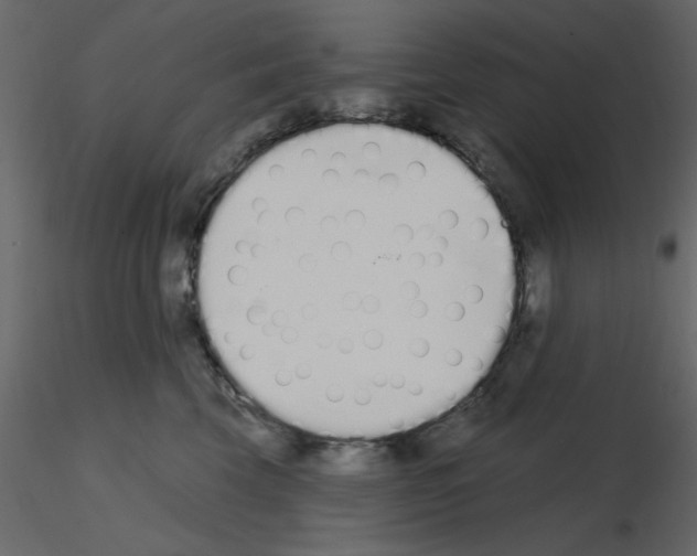 X0000115710569200912241546