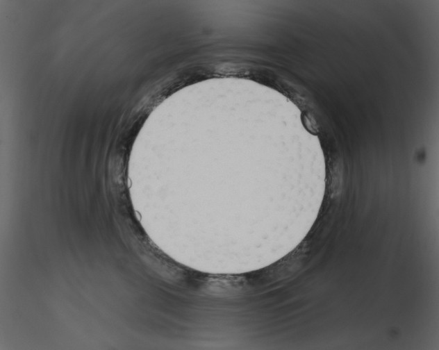 X0000115710571200912241546