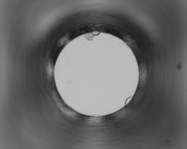 X0000115710574200912241546