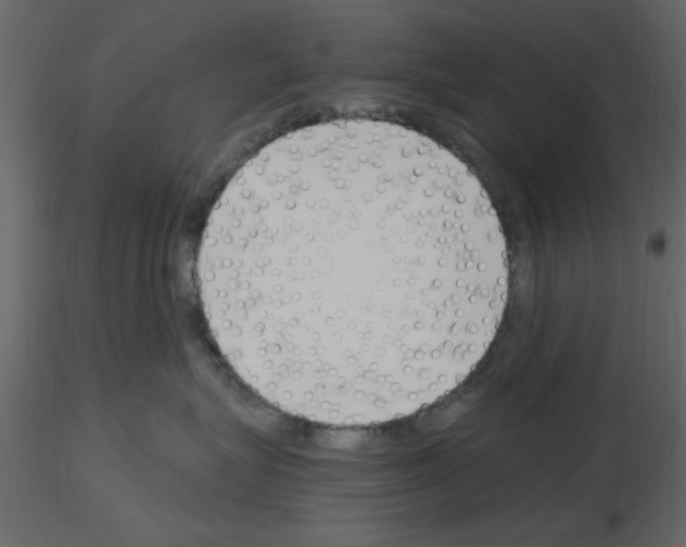 X0000115710575200912241546