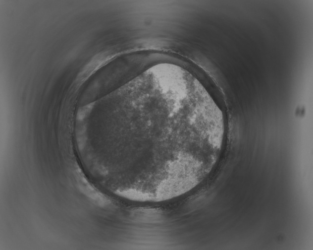 X0000115710577200912241545