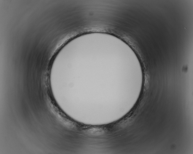 X0000115710578200912241545