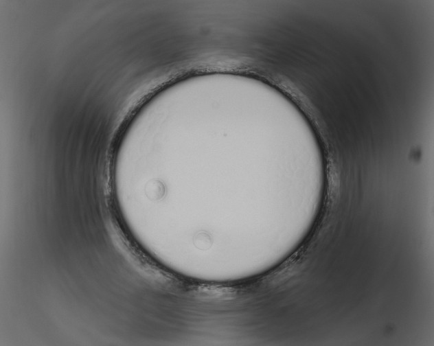 X0000115710582200912241545