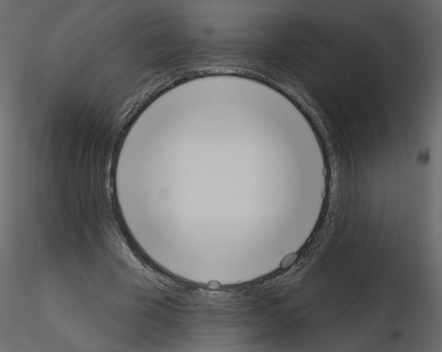 X0000115710585200912241545