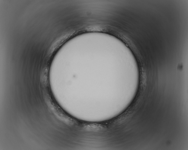 X0000115710586200912241545