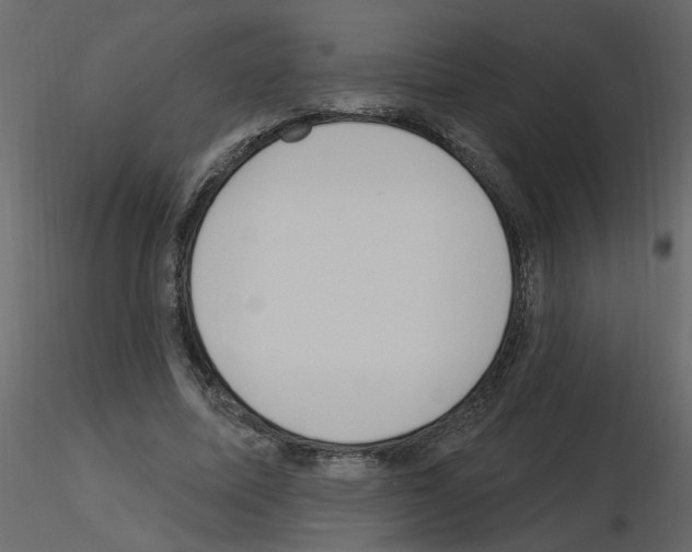 X0000115710587200912241545