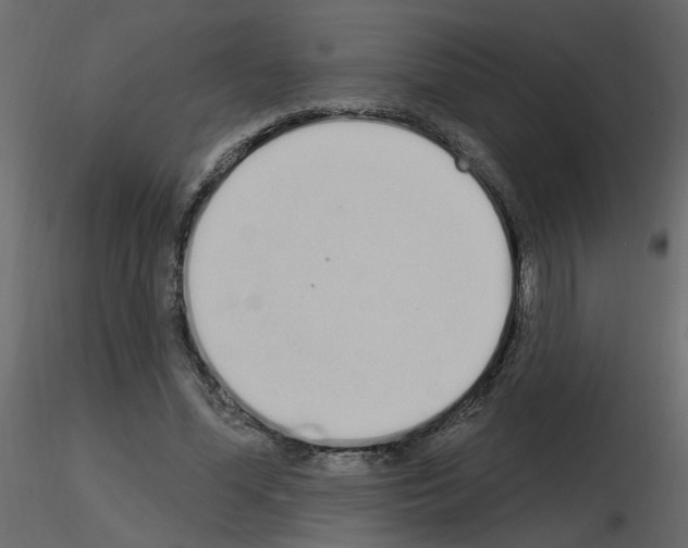 X0000115710588200912241545