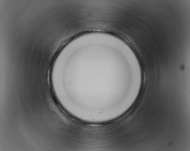 X0000115710589200912241545