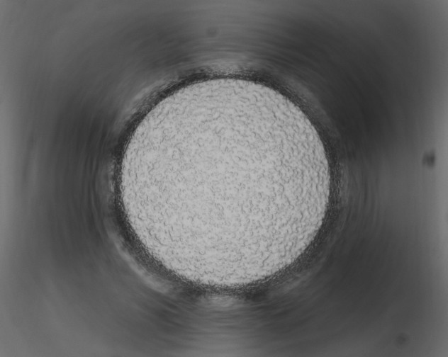 X0000115710590200912241545