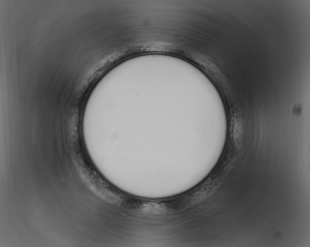 X0000115710591200912241545