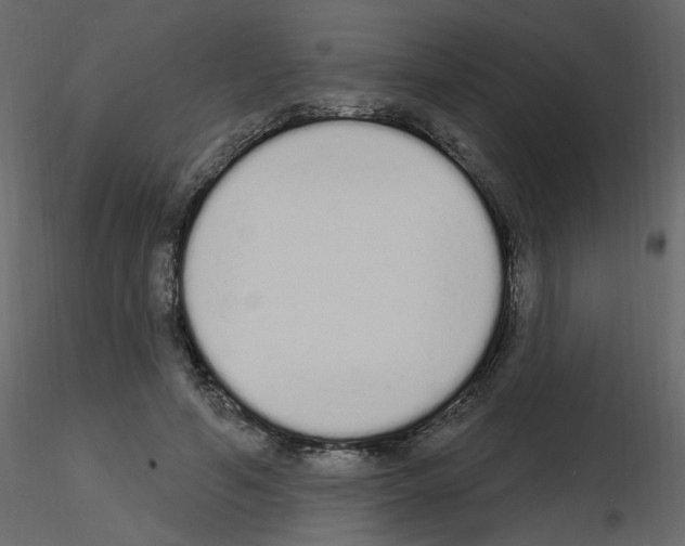 X0000115710594200912241545