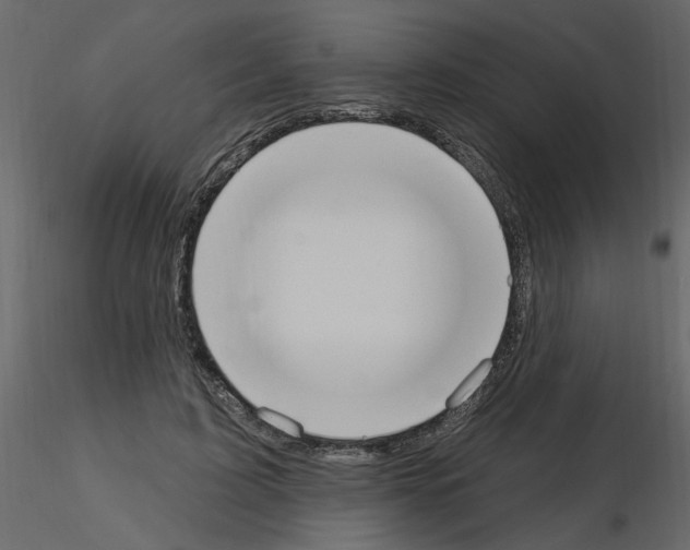 X0000115710595200912241545