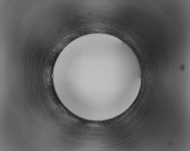 X0000115710597200912241545