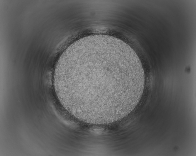 X0000115710598200912241545