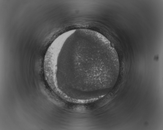 X0000115710600200912241545