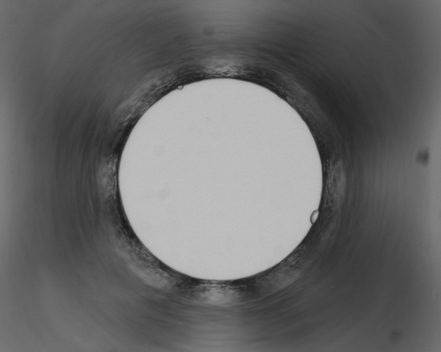 X0000115710601200912241545