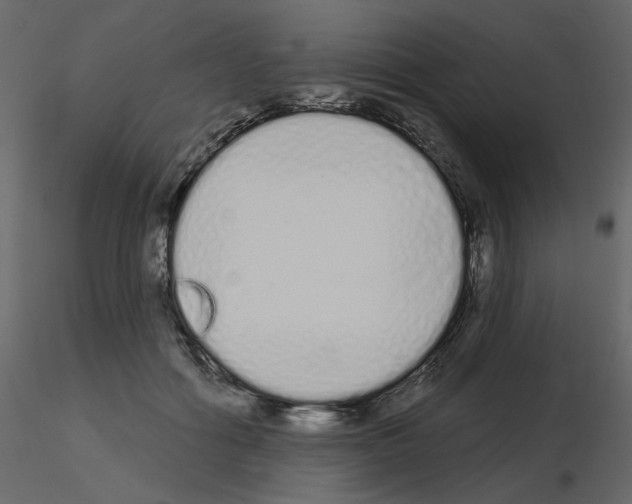 X0000115710602200912241545