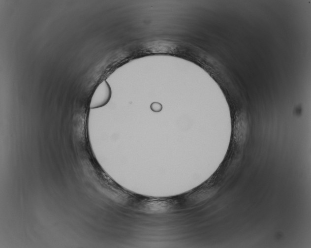 X0000115710604200912241545