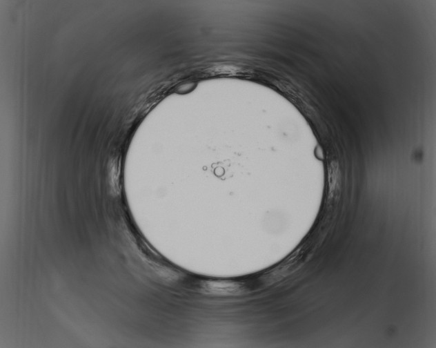 X0000115710605200912241545