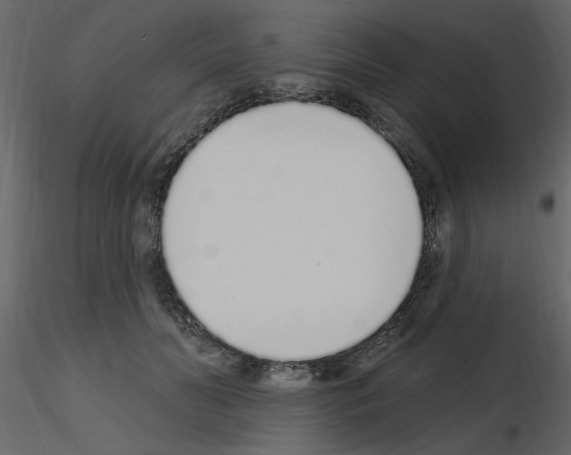 X0000115710606200912241545