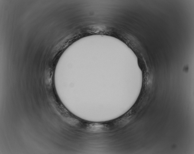 X0000115710607200912241545