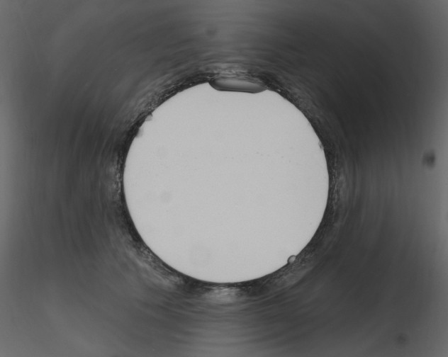 X0000115710609200912241545