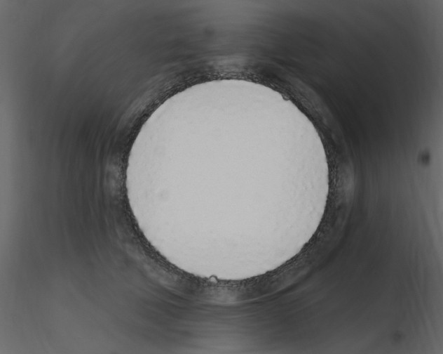 X0000115710610200912241545