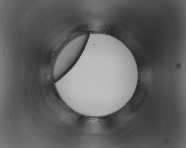 X0000115710611200912241545