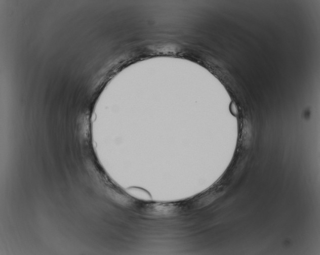 X0000115710612200912241545