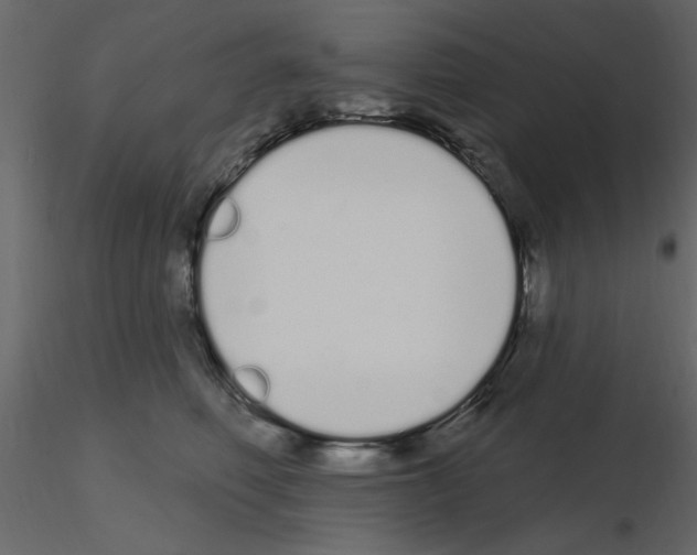 X0000115710614200912241545