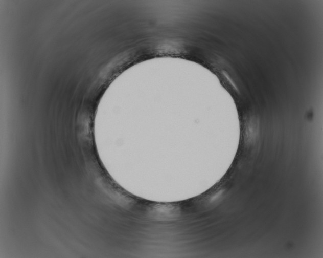 X0000115710619200912241545