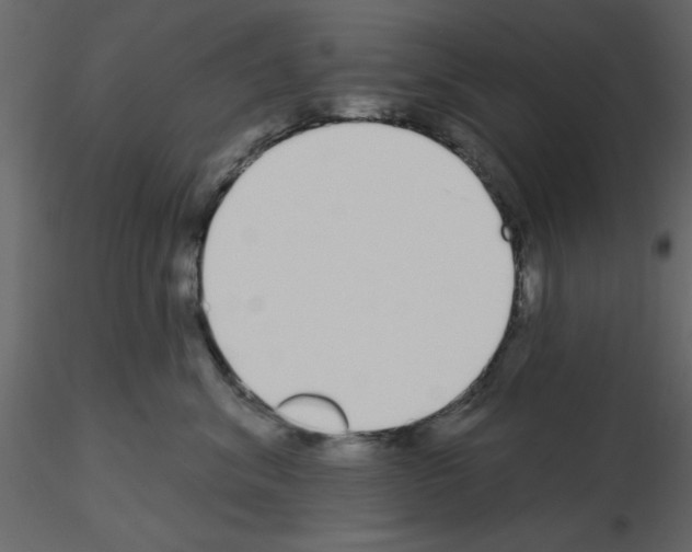 X0000115710620200912241545