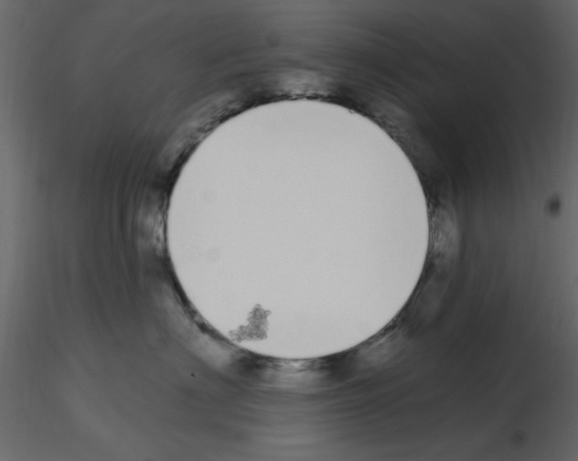 X0000115710622200912241545