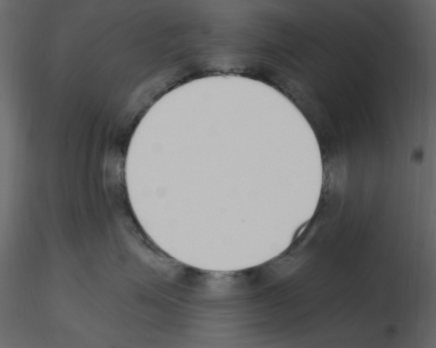 X0000115710623200912241545