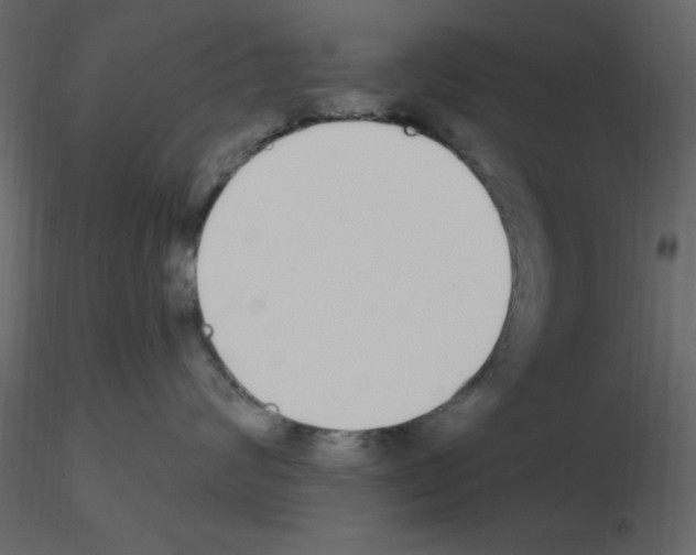 X0000115710624200912241545