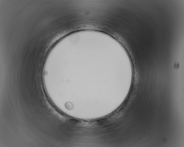 X0000115710625200912241544