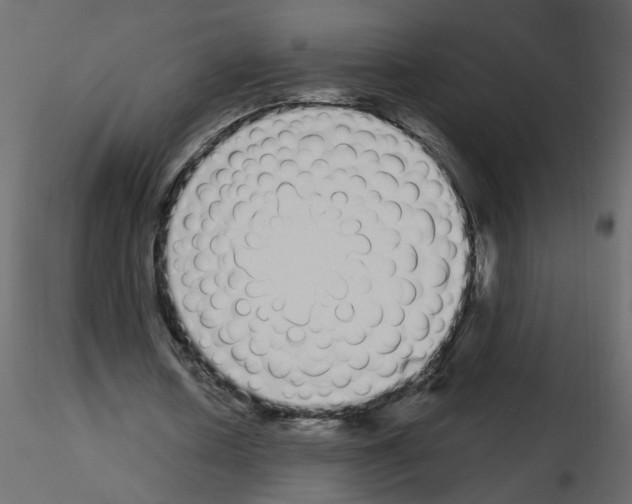 X0000115710626200912241544