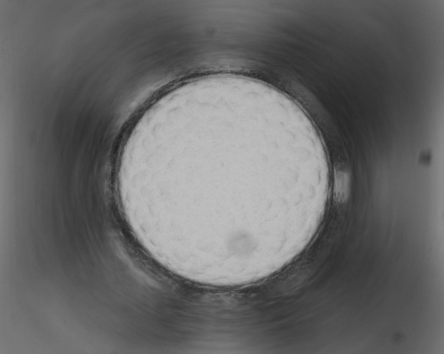 X0000115710627200912241544