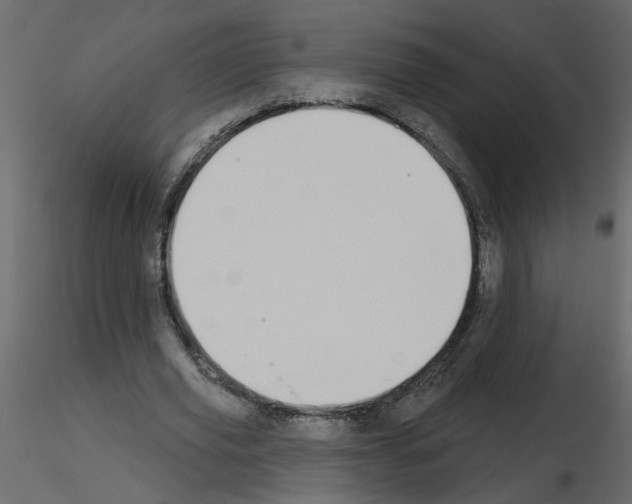 X0000115710629200912241544