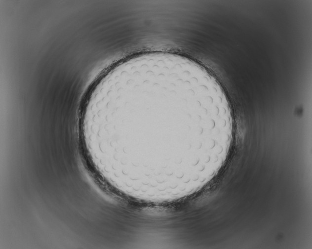 X0000115710630200912241544